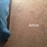 Bedroom-Carpet-Cleaning-south-san-francisco-A