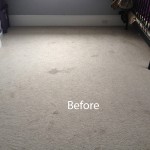 Bedroom-Wall-to-Wall-Carpet-Cleaning-south-san-francisco-A