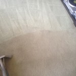 Carpet-Cleaning-south-san-francisco