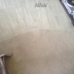south-san-francisco-Carpet-Cleaning-Company