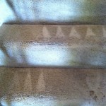 south-san-francisco-Stairs-Carpet-Cleaning